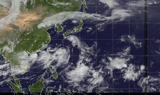 台风贝碧嘉在哪里登陆