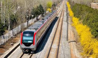 大连宣布进入战时状态 大连宣布进入战时状态