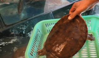 吃年夜饭的时间 你家年夜饭什么时候吃