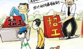 单休已成职场用工新要求