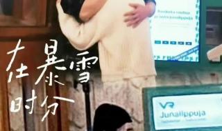 在暴雪时分人物关系图