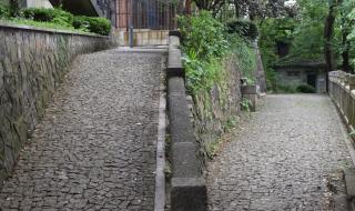 佘山国家森林公园攻略