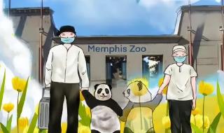 丫丫在美国经历了什么