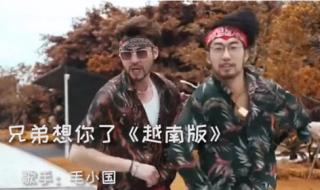 兄弟啊想你了越南版